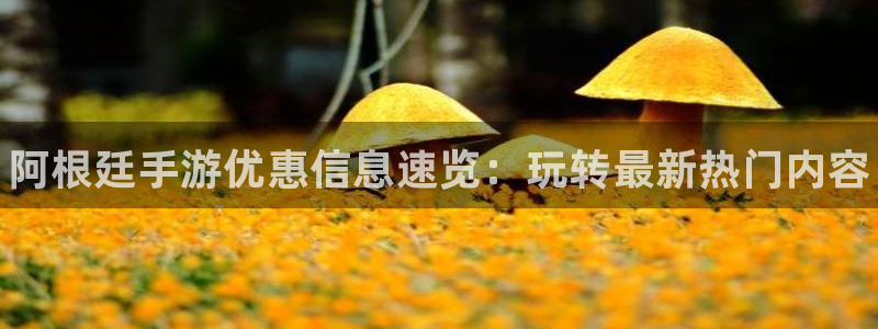蓝冠娱乐的意思：阿根廷手游优惠信息速览：玩转最新热门内容
