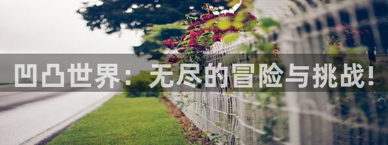 手机版蓝冠娱乐客户端下载：凹凸世界：无尽的冒险与挑战!