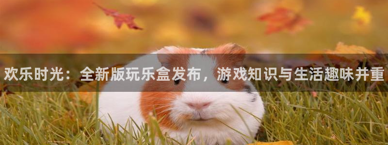 蓝冠娱乐下载：欢乐时光：全新版玩乐盒发布，游戏知识与生活趣味