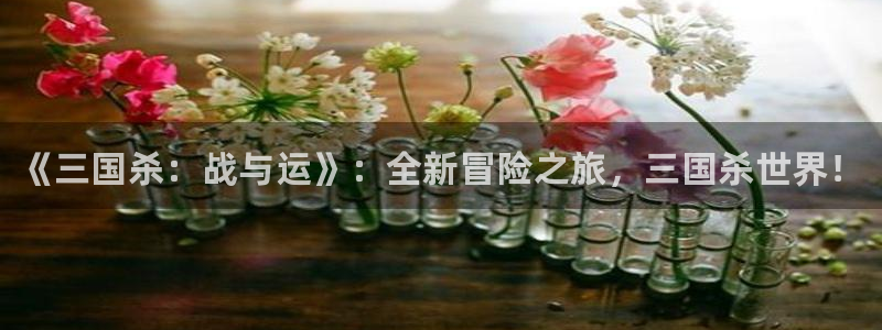 蓝冠娱乐官方注册登录：《三国杀：战与运》：全新冒险之旅，三国