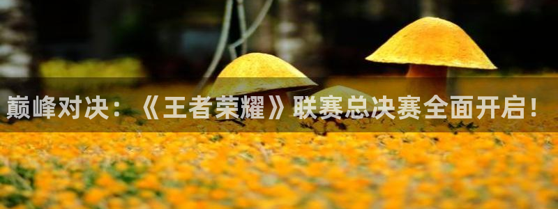 蓝冠娱乐下载链接：巅峰对决：《王者荣耀》联赛总决赛全面开启！