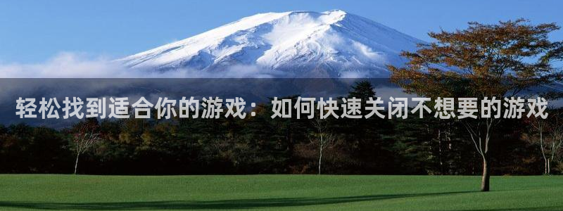 蓝冠娱乐平台：轻松找到适合你的游戏：如何快速关闭不想要的游戏