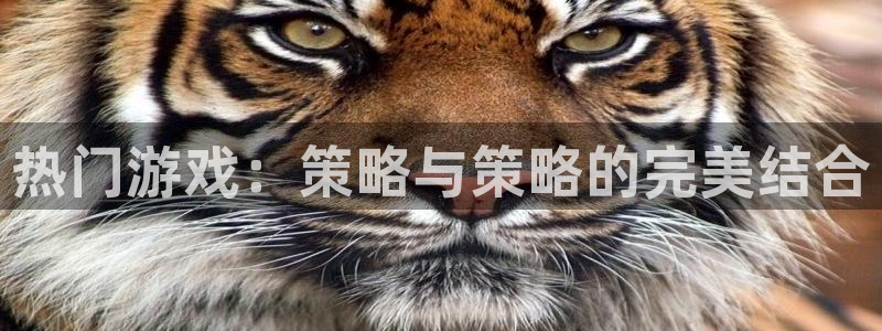 蓝冠娱乐娱乐：热门游戏：策略与策略的完美结合