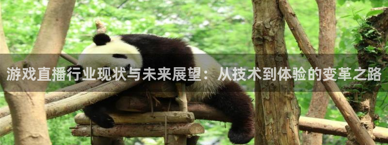 蓝冠娱乐平台官网登录：游戏直播行业现状与未来展望：从技术到体