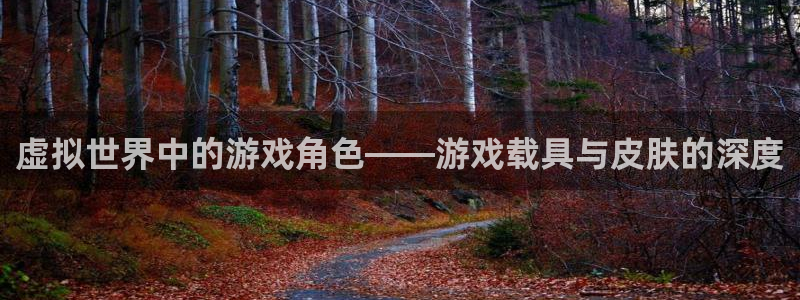 蓝冠娱乐2登录：虚拟世界中的游戏角色——游戏载具与皮肤的深度