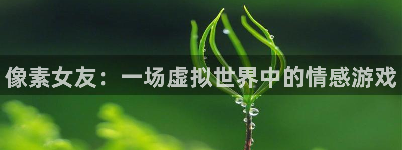 蓝冠娱乐平台：像素女友：一场虚拟世界中的情感游戏