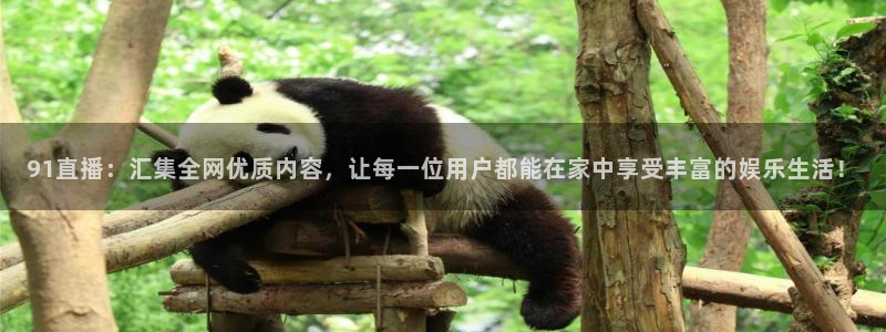 88看球吧直播nba：91直播：汇集全网优质内容，让每一位用户都能在家中享受丰富的娱乐生活！