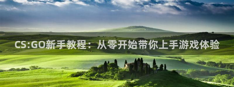 蓝冠在线平台怎么样可靠吗