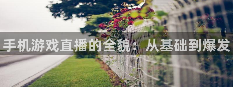 蓝冠在线平台怎么样可靠吗