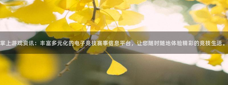 蓝冠娱乐平台：掌上游戏资讯：丰富多元化的电子竞技赛事信息平台