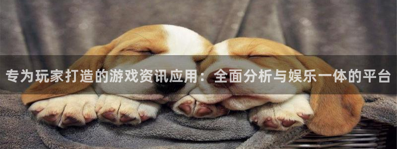 蓝冠官方：专为玩家打造的游戏资讯应用：全面分析与娱乐一体的平
