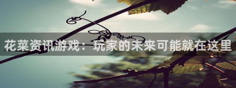 蓝冠在线平台怎么样可靠吗：花菜资讯游戏：玩家的未来可能就在这
