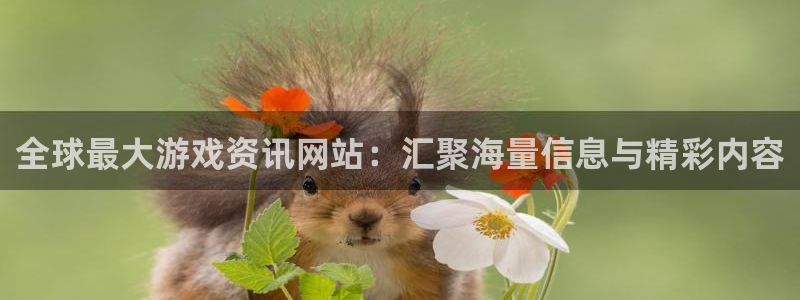 蓝冠招商首页网址：全球最大游戏资讯网站：汇聚海量信息与精彩内